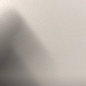 Meet your Posher, Sean